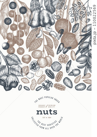 Hand Drawn Nuts Branch And Kernels  Template. Organic Seed Vector Design. Retro Nut Illustration. Engraved Style Botanical Banner. 110822569