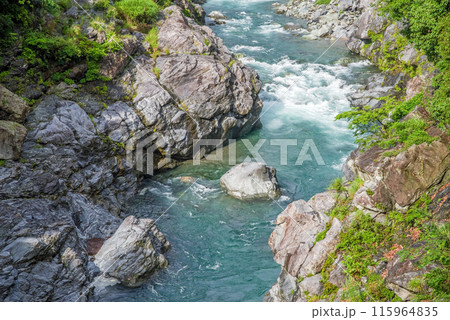 夏の渓谷美【領内峡】三重県多気郡大台町 115964835