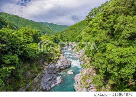 夏の渓谷美【領内峡】三重県多気郡大台町 115964870