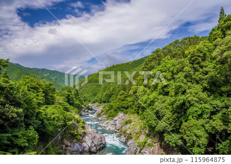 夏の渓谷美【領内峡】三重県多気郡大台町 115964875