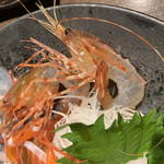 Robatayaki Restaurant Shikotsu - 活きボタンエビ身が透明です！味噌はターコイズブルー！ここは支笏湖か！（お店の名前は志古津笑）