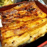 Unagi Yonehana - 