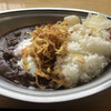 カレーのチカラ - 料理写真:北見たまねぎカレーの温玉トッピング