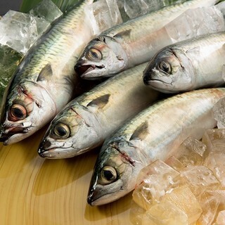 ◎広島から毎日空輸される瀬戸内の新鮮な魚介類と広島の銘酒