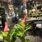 Aoyama Flower Market TEA HOUSE Atore Kichijoji Ten - 