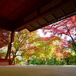 妙心寺山内 退蔵院 - お庭を望む