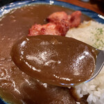 Pon Ya - ひき肉の入ったコクと酸味のあるカレー