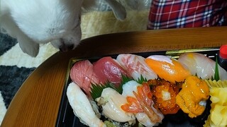 Kaihou Zushi - ｢海宝寿司｣2,500円？をお持ち帰りで。美味しいよ！