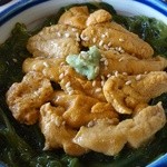 Goishi Kaigan Rest House - うにメカブ丼880円
                        小鉢おそば付き