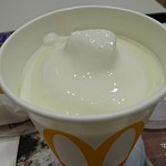 McDonald's Yokohamashikonanku Konanchuodoriten - 完熟キウイ