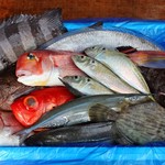 南柏 旬の鮮魚と四季の地酒 すしの磯一 - 