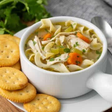 Instant Pot Chicken Noodle Soup