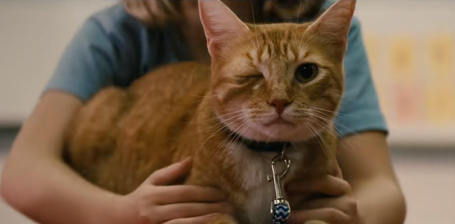 Gifted: Does Fred the Cat Die?