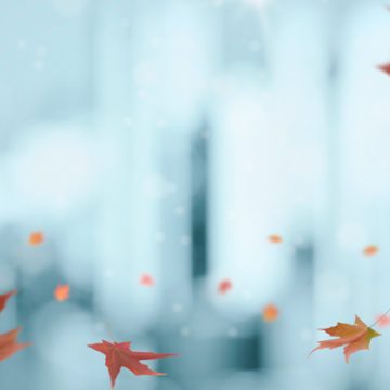 Leaves falling on a wintery backdrop | thecozyapron.com