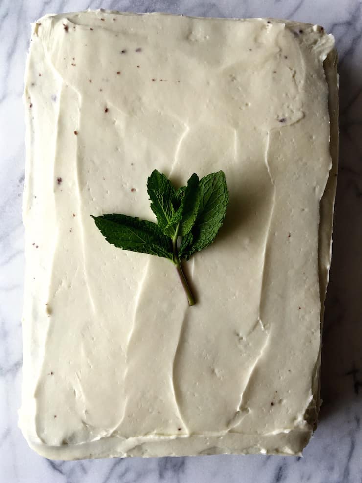 Chocolate Mint Cake, frosted cake with mint barnish