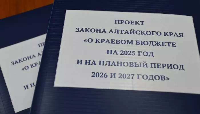 Алтайский край наращивает собственную налоговую мощь, но теряет в федеральных деньгах