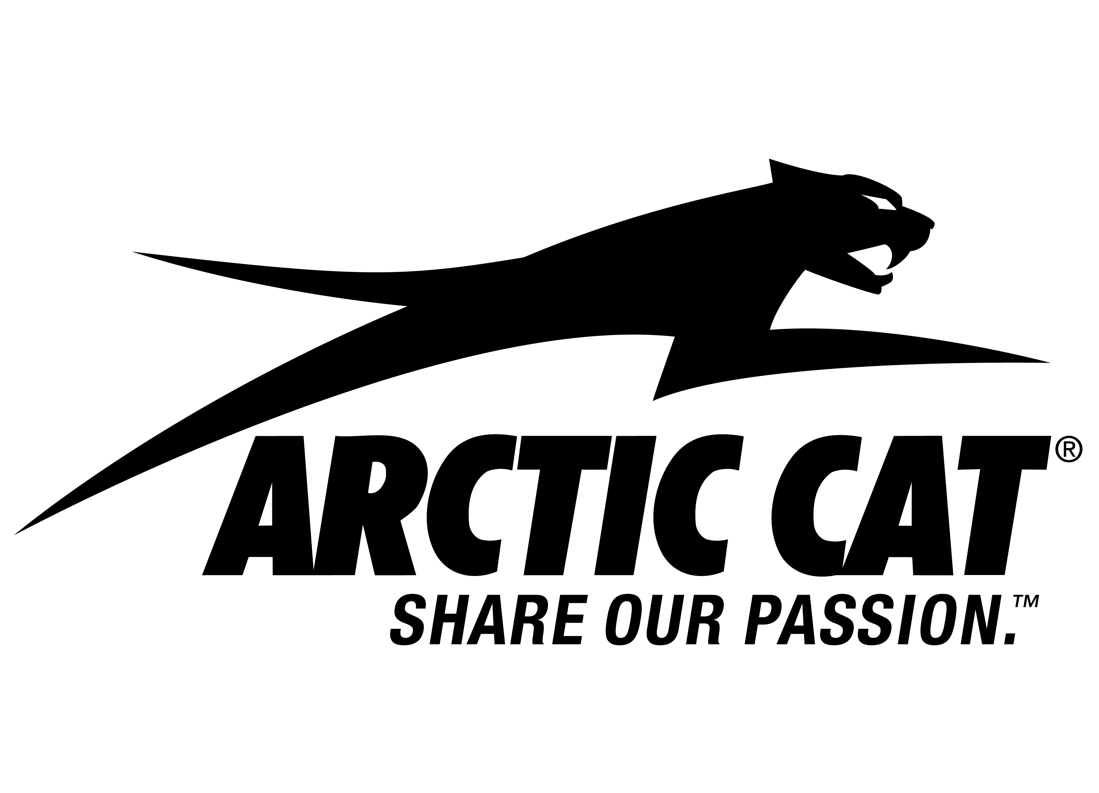 ARCTIC CAT