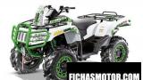 ARCTIC CAT 1000