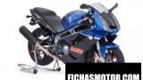 Mz 1000s 2007 | TECHNISCHES DATENBLATT und SPEZIFIKATIONEN ✓