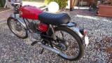 MOTO MORINI Corsarino