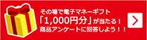 電子マネーギフトが当たる！