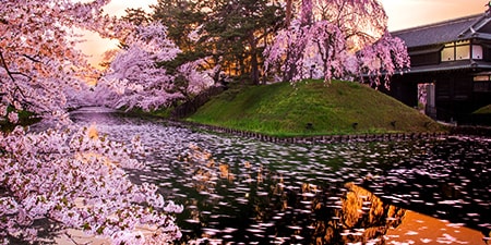 tohoku