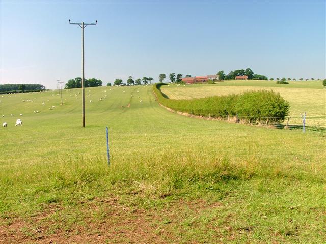 File:Windy Hill - geograph.org.uk - 24731.jpg