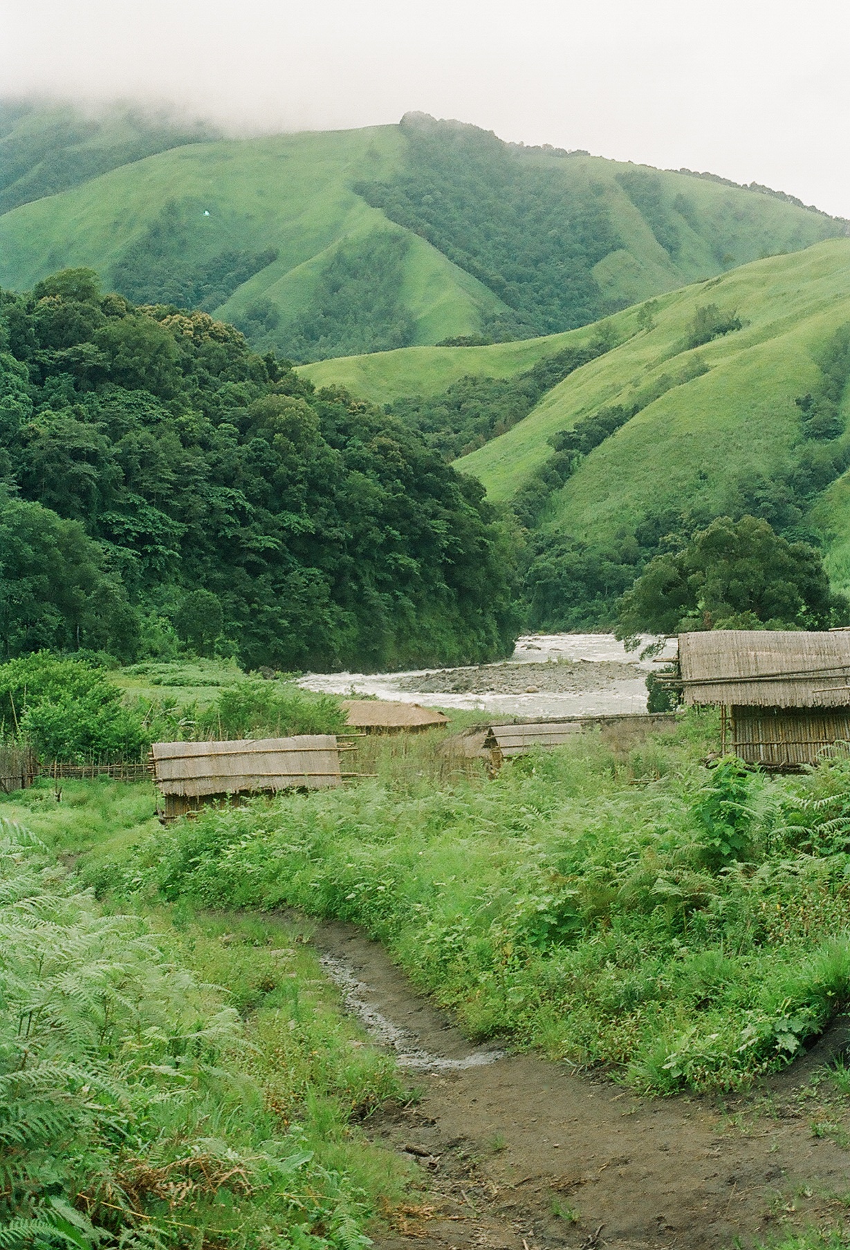 Idu Mishmi village (7453909308).jpg