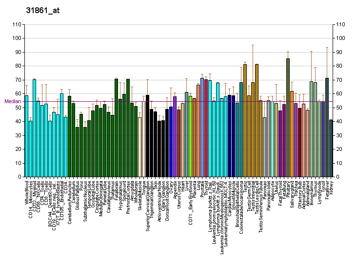 File:PBB GE IGHMBP2 31861 at fs.png