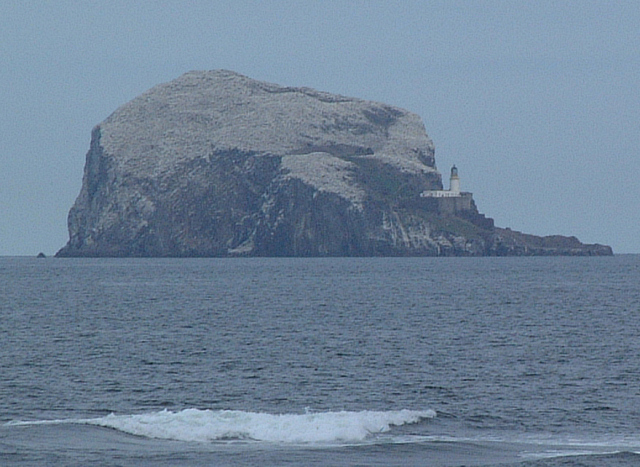 File:Bass Rock - geograph.org.uk - 241.jpg