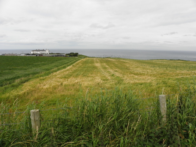 File:Ballintoy, County Antrim - geograph.org.uk - 4630988.jpg