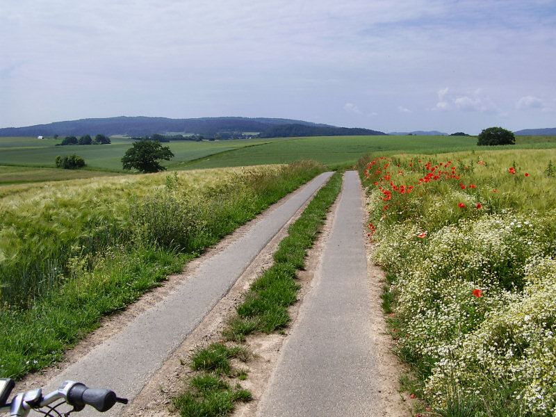 File:Lahn-eder-radweg-01.jpg