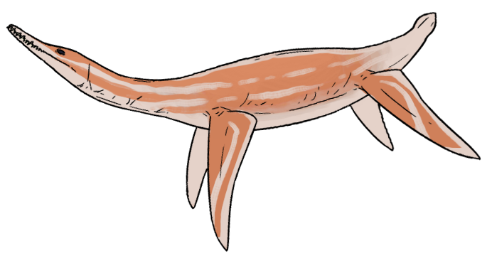 File:Palmulasaurus quadratus.png