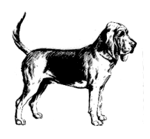 File:Bloodhound (PSF).png