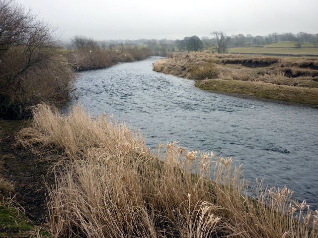 File:The River Ure - geograph.org.uk - 1742717.jpg