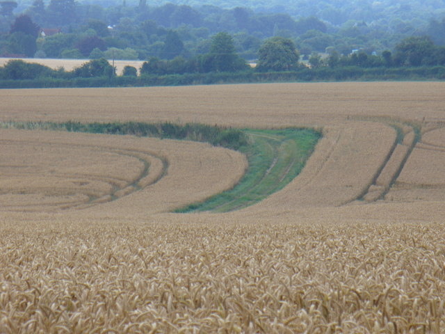 File:North of Fullers Farm - geograph.org.uk - 907602.jpg