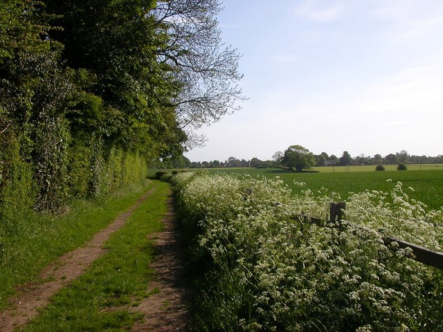 File:Cawston - geograph.org.uk - 438708.jpg