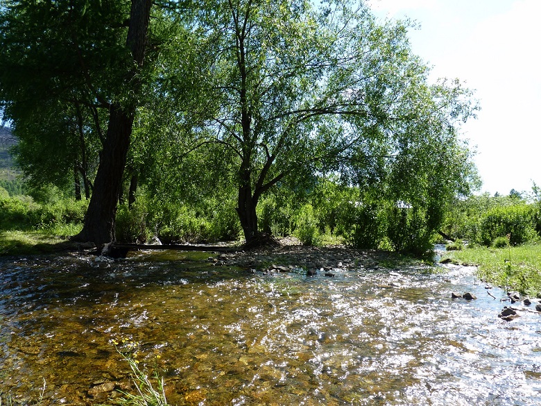 File:Selbe river in central Mongolia..jpg