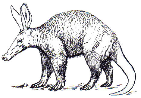 File:Aardvark2 (PSF).jpg