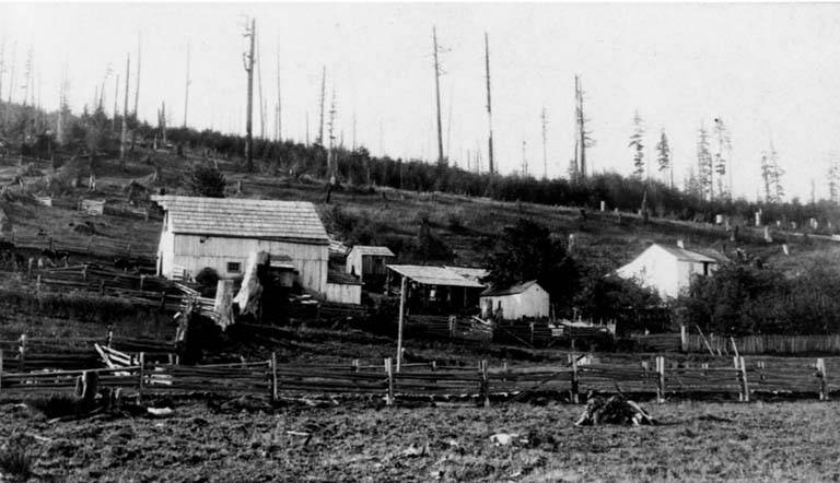 File:Laubach Ranch, Discovery Bay, 1880s- 1900s (WASTATE 2686).jpeg