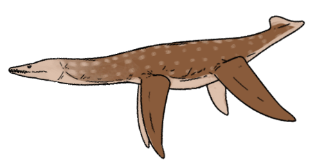 File:Leptocleidus capensis.png