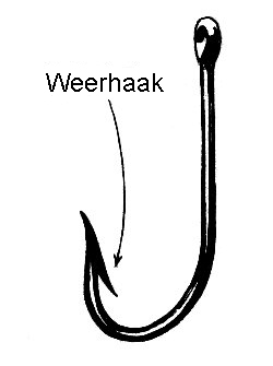 File:Weerhaak.jpg