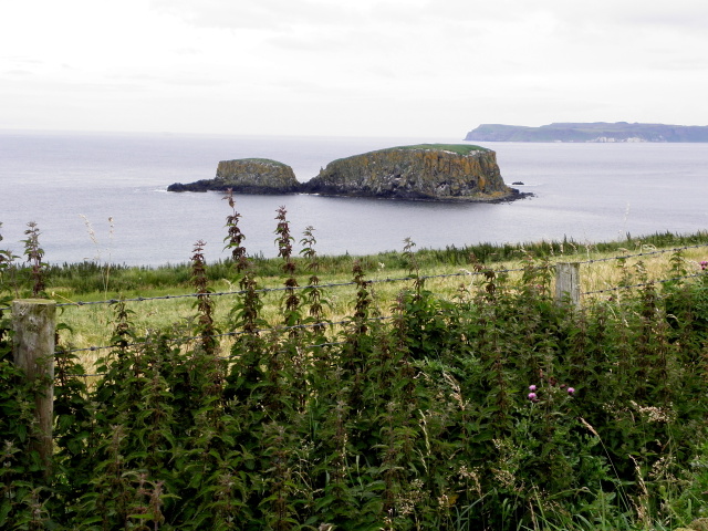 File:Ballintoy Desemne - geograph.org.uk - 4641294.jpg