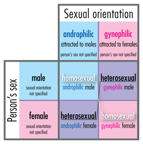 File:Androphilia-gynephilia-chart.png