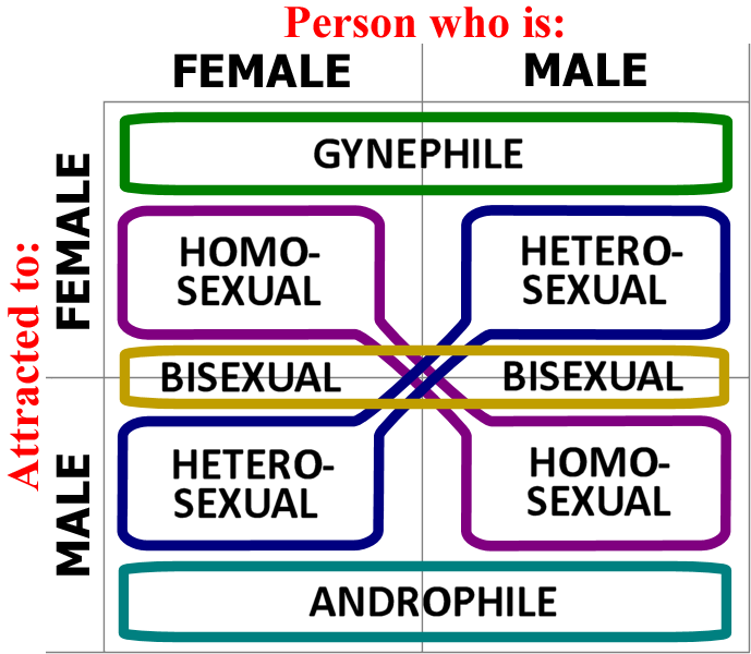 File:Gynephilia-androphilia-heterosexual-homosexual orientations diagram.png