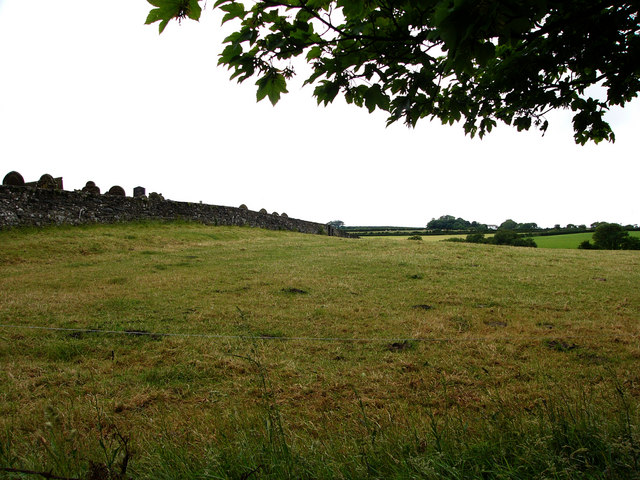 File:Field next to Andreas churchyard - geograph.org.uk - 478023.jpg