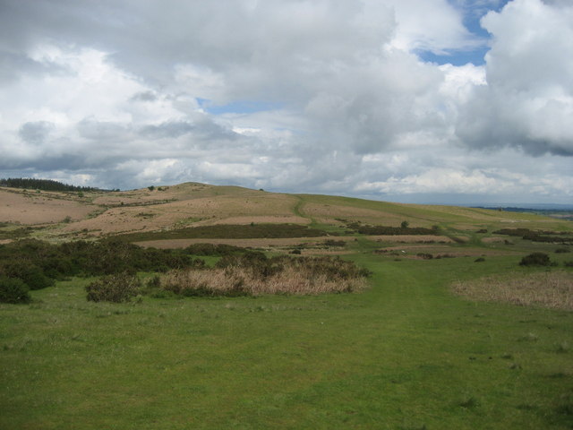 File:On Disgwylfa Hill - geograph.org.uk - 448369.jpg