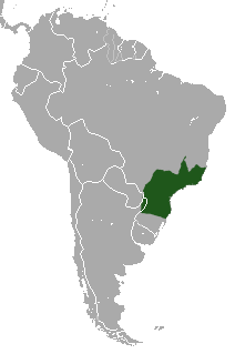 File:Black Capuchin area.png