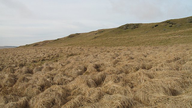 File:Craig Dyfnant - geograph.org.uk - 1167088.jpg