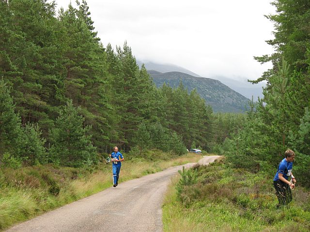 File:Road to Feshie Lodge - geograph.org.uk - 524366.jpg